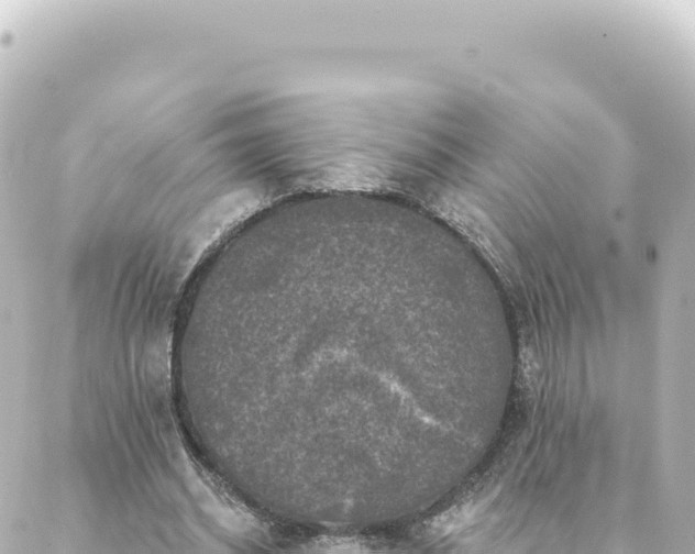 X0000088430534200705291527