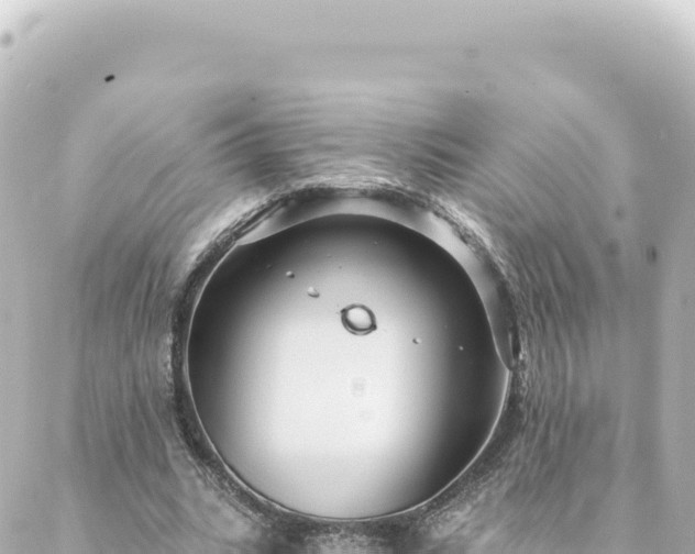 X0000088430535200705291527