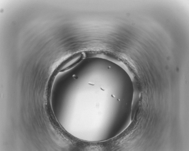 X0000088430536200705291527