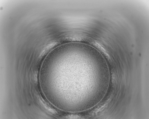 X0000088430537200705291527