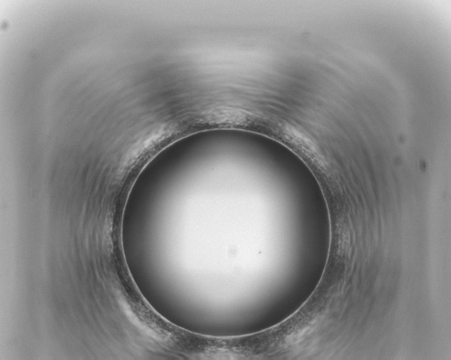 X0000088430538200705291527