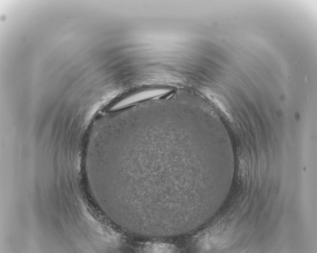 X0000088430539200705291527