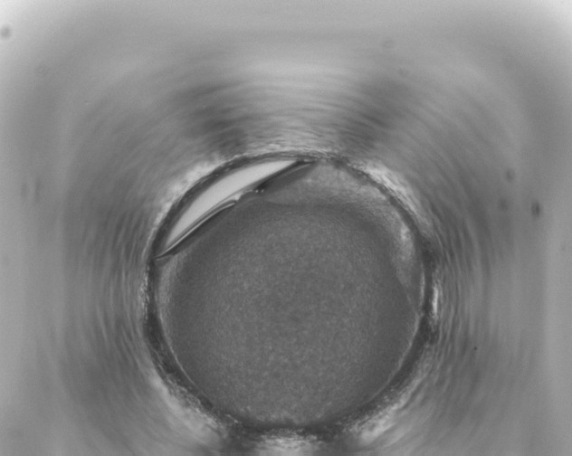 X0000088430540200705291527