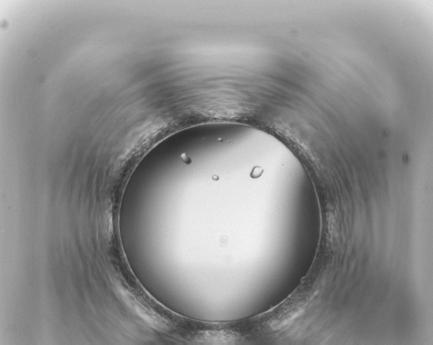 X0000088430541200705291527