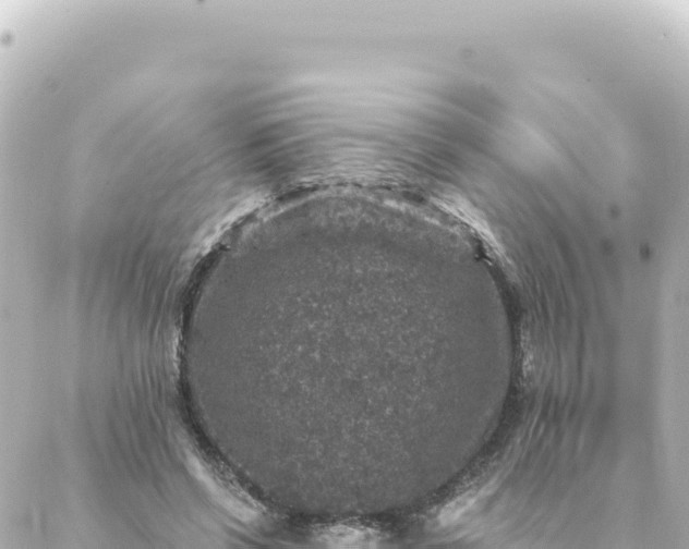 X0000088430542200705291527