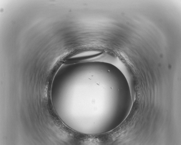 X0000088430543200705291527