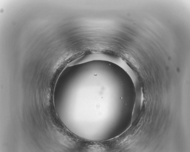 X0000088430544200705291527