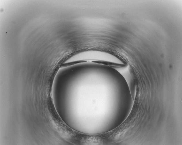 X0000088430546200705291527