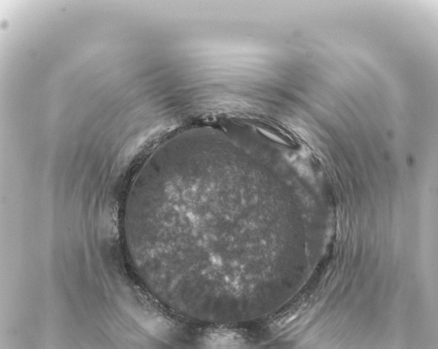 X0000088430547200705291527