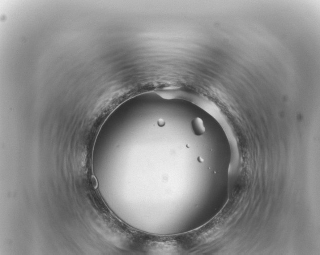 X0000088430548200705291527