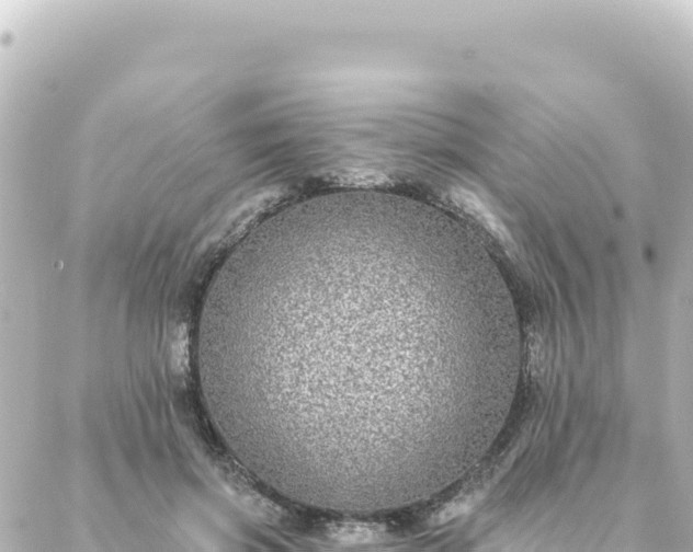 X0000088430549200705291527