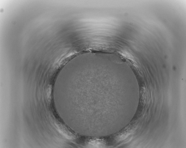 X0000088430550200705291527