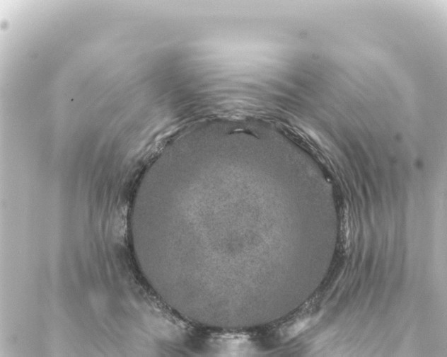 X0000088430554200705291528