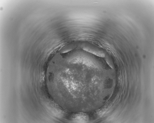 X0000088430555200705291528