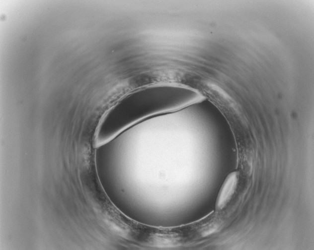 X0000088430556200705291528