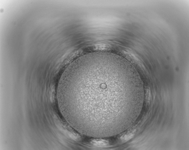 X0000088430557200705291528