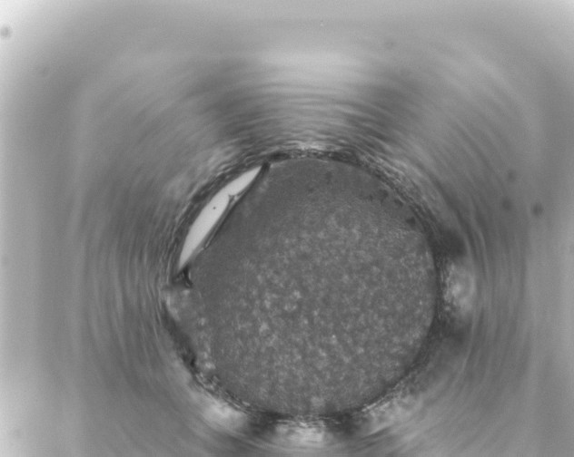 X0000088430559200705291528