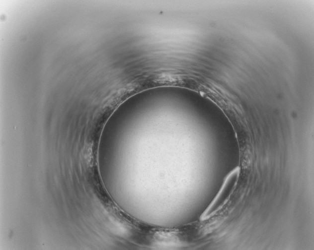 X0000088430560200705291528