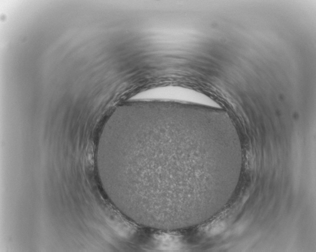 X0000088430561200705291528