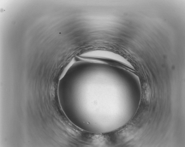 X0000088430562200705291528