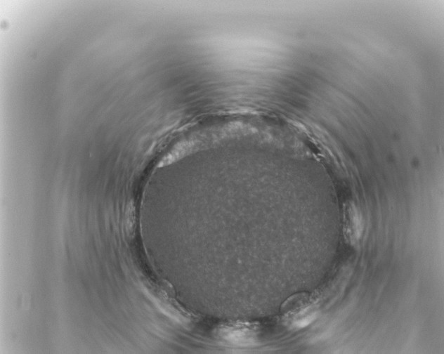 X0000088430563200705291528