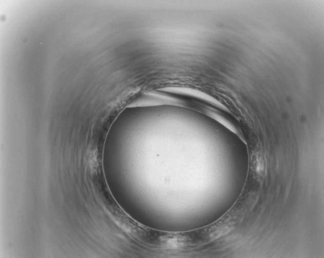 X0000088430564200705291528