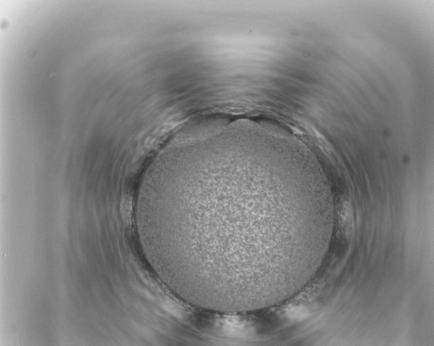 X0000088430565200705291528