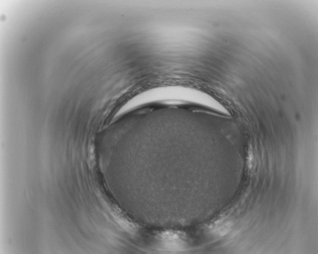 X0000088430566200705291528