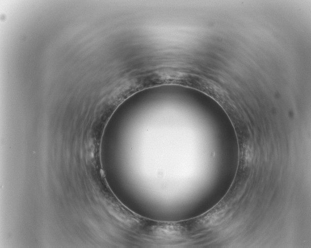 X0000088430567200705291528