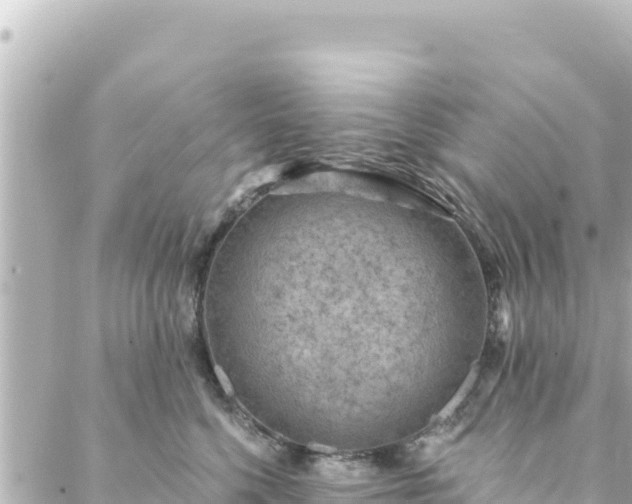 X0000088430568200705291528