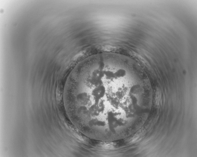 X0000088430569200705291528