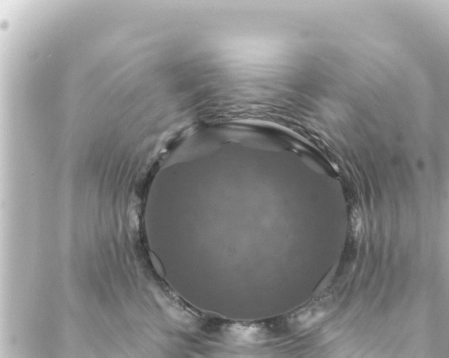 X0000088430570200705291528