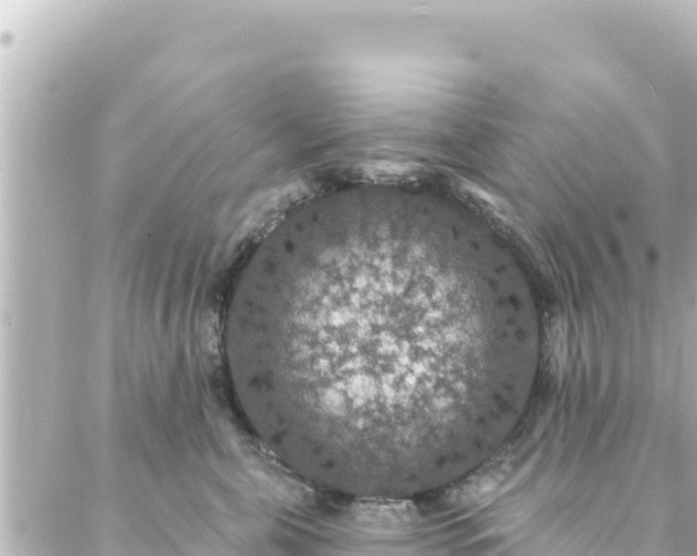 X0000088430571200705291528