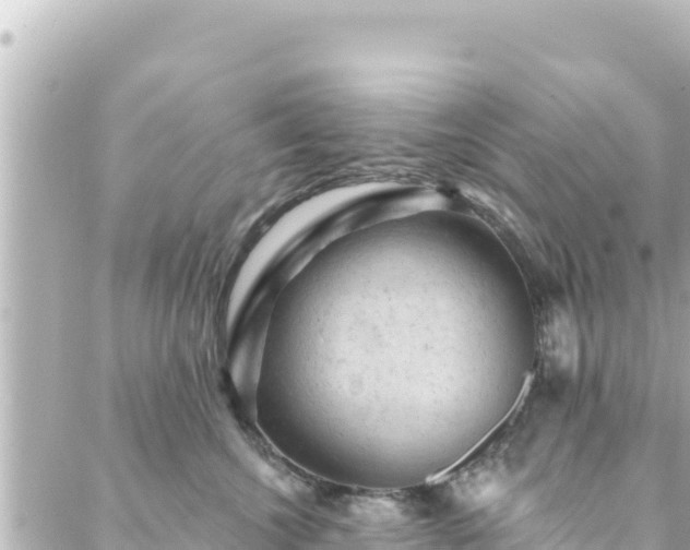 X0000088430572200705291528