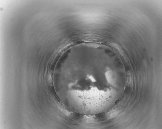 X0000088430573200705291528