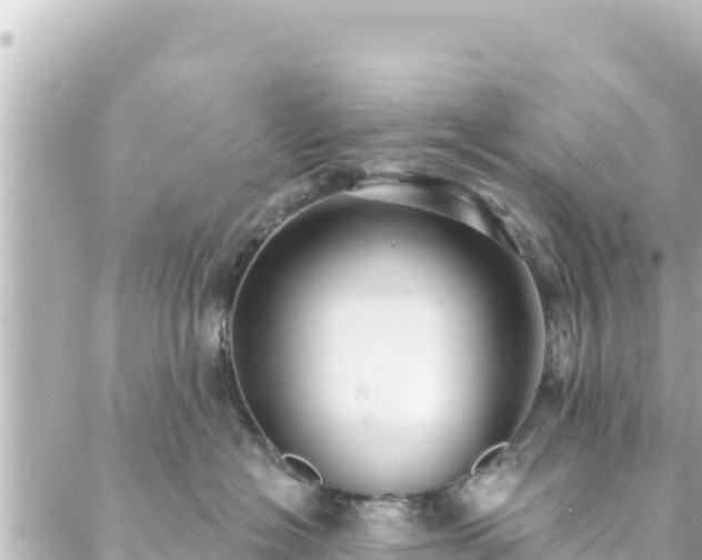 X0000088430574200705291528