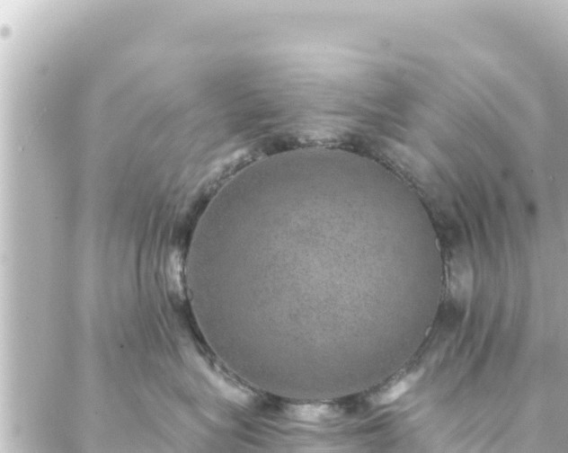 X0000088430575200705291528