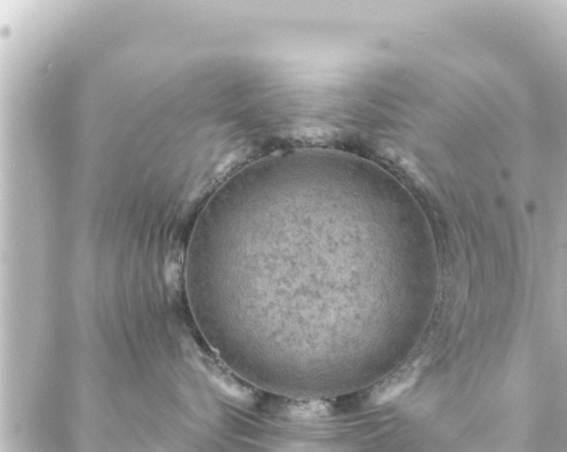 X0000088430576200705291528