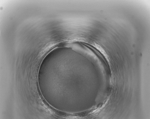 X0000088430577200705291527