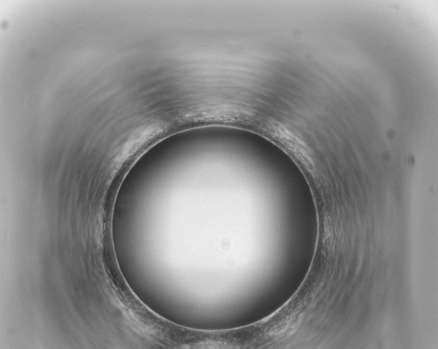 X0000088430578200705291527