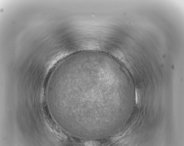 X0000088430579200705291527