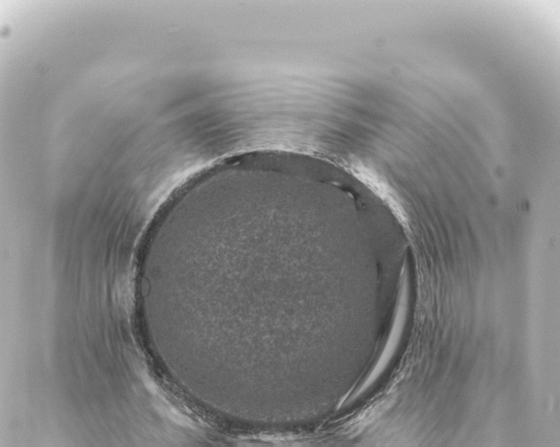 X0000088430580200705291527