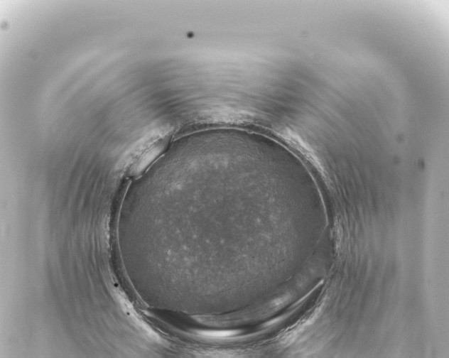 X0000088430581200705291527