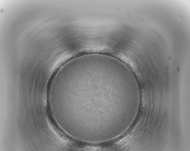 X0000088430582200705291527