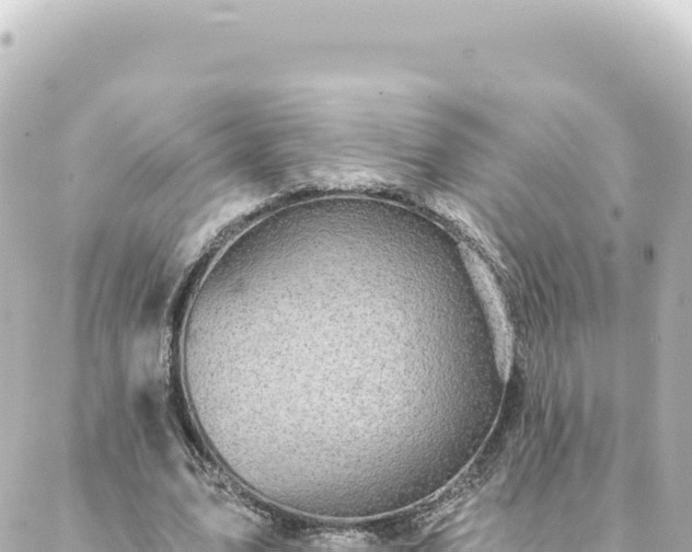 X0000088430583200705291527