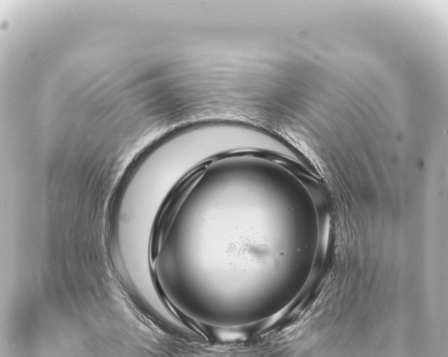 X0000088430584200705291527