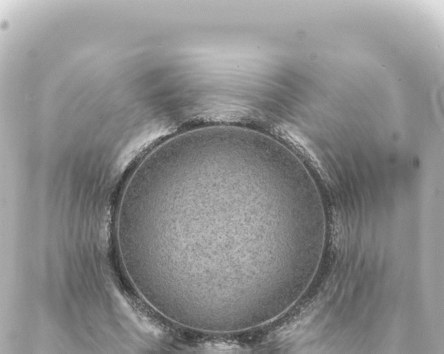 X0000088430586200705291527