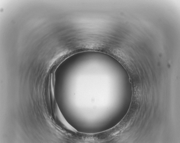 X0000088430587200705291527