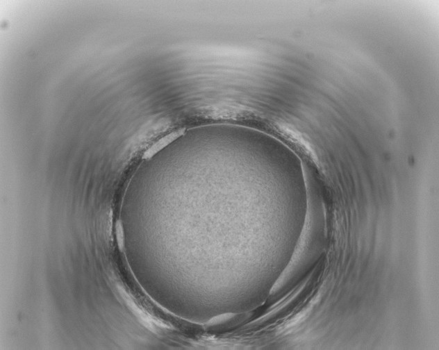 X0000088430589200705291527