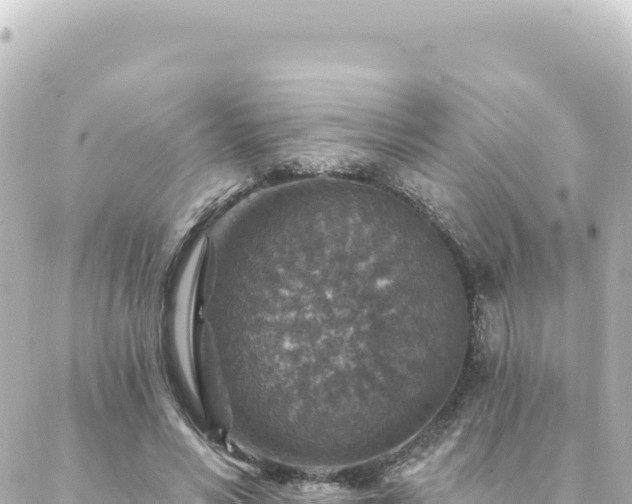 X0000088430590200705291527